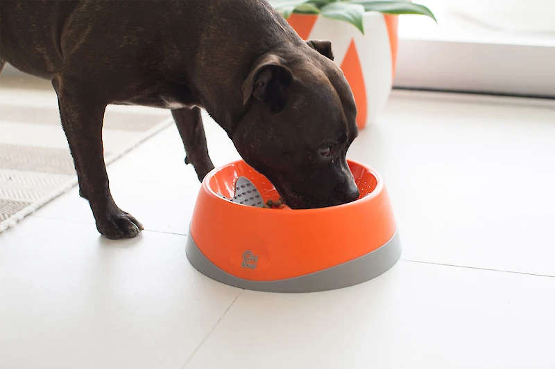 LickiMat OH Bowl