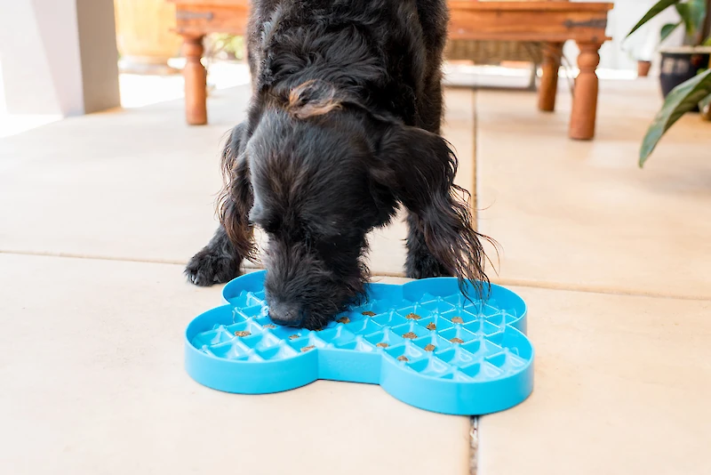 Slodog - no-gulp feeder
