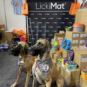 Dog Lovers Show