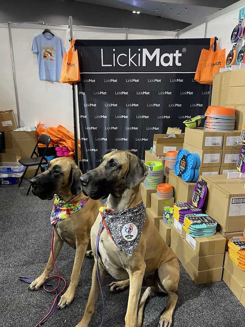 LickiMat fans at the Dog Lovers Show