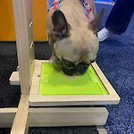 LickiMat Riser adjustable height to suit your pet