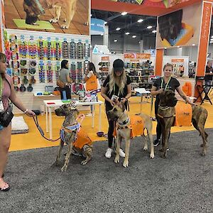 Superzoo