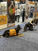 LickiMat mascot being photographed