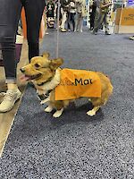 LickiMats are loved by dogs of all sizes