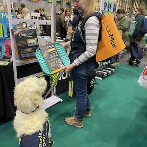 Crufts