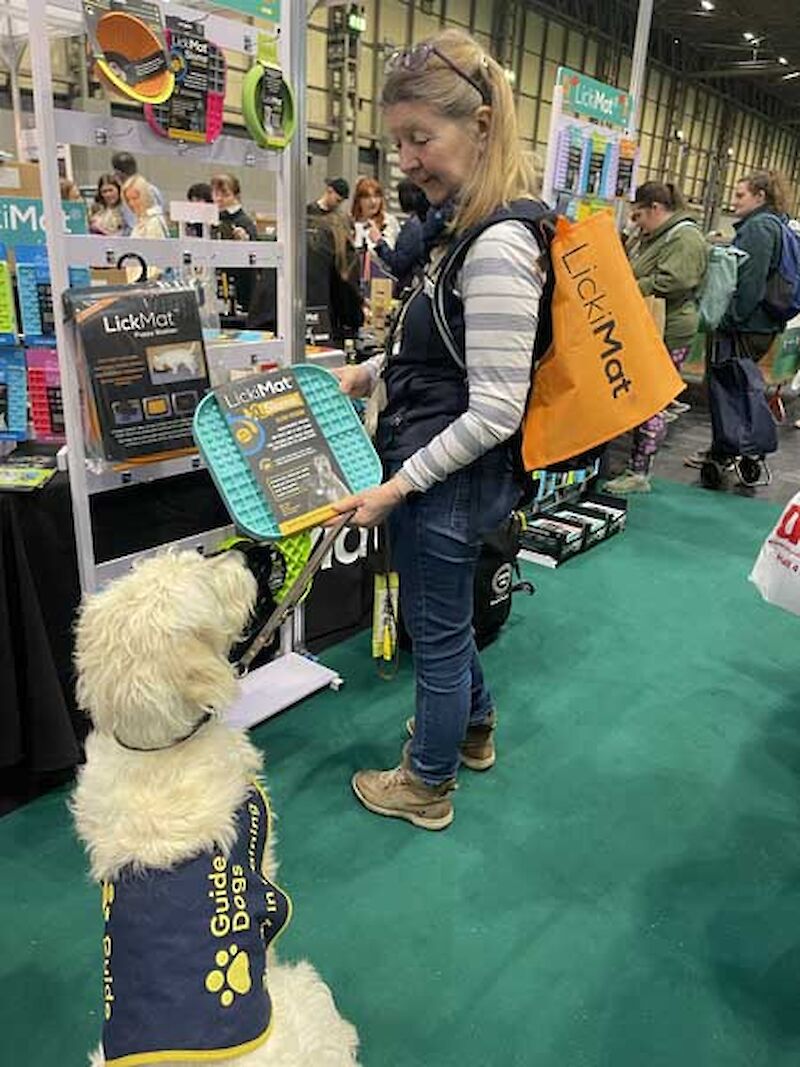 Guide dog in training asking for a LickiMat at Crufts 2024