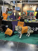 Relaxing at the LickiMat stand at Crufts 2024