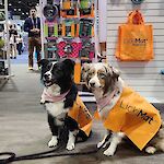 Styling it out at the LickiMat stand at Global Pet Expo 2024 in Orlando
