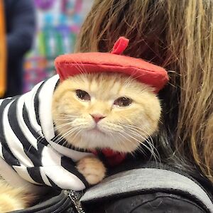 Global Pet Expo