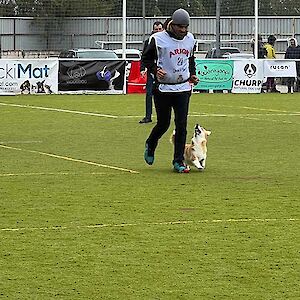 XIV Obedience Cup FCI World Championship