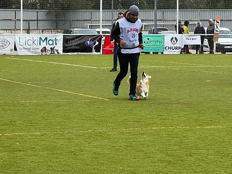 LickiMat sponsor at XIV Obedience Cup FCI World Championship