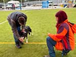 Rewarding a great effort at XIV Obedience Cup FCI World Championship