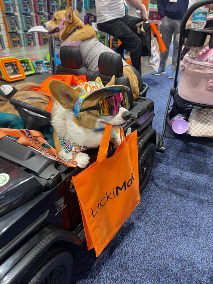 Corgies rocking their LickiMat gear at Global Pet Expo 2025 in Orlando, Florida