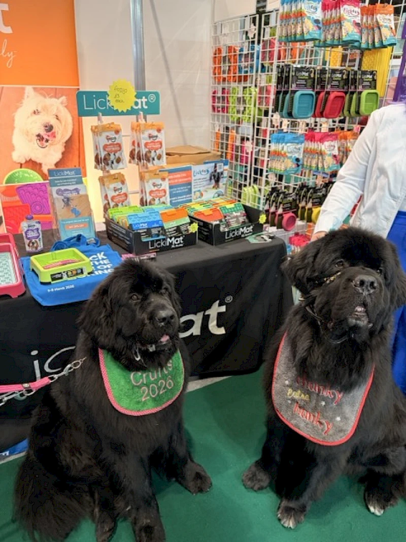 Our Crufts ambassadors for 2026