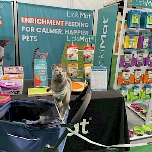 The Cat Live Show